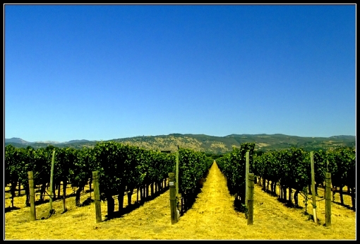 Retirement location-Napa
