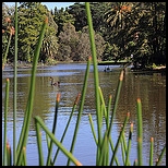 Retirement and Golf-Royal Melbourne 