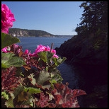 Retirement and Biking-San Juan Islands
