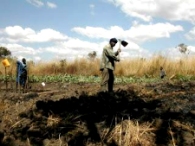 volunteering in Zambia when retired, Farming and working the fields 