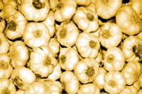Garlic photo by: Ross Elliott, cc retirement gardening garlic