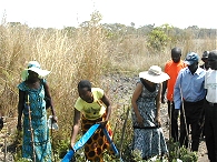 volunteering in Zambia when retired, Water delivered to furthest point of farm