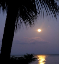 Retire in Ometepe Island, Nicaragua