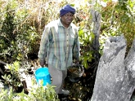 volunteering in Zambia when retired, Water from the stream for farming 