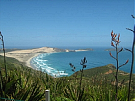 Retire in New Zealand