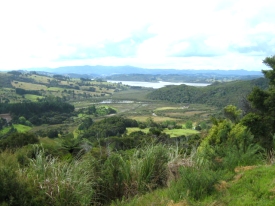 Retire in New Zealand