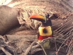 Retirement in Costa Rica