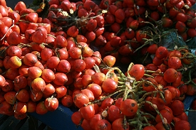 Retirement in Costa Rica