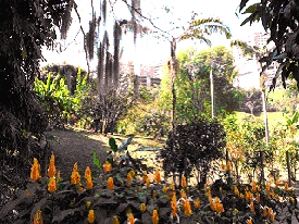 Retire in Medellin Colombia