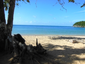 Retire in Jamaica