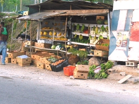 Retire in Jamaica