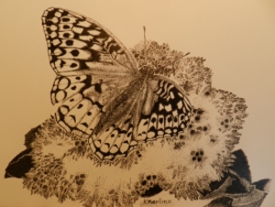 Retirement hobbies, drawing