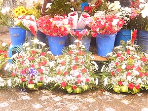 Retire in Ecuador