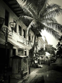 Retire in Bali