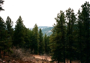 Retire in Colorado