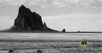 Retire in New Mexico