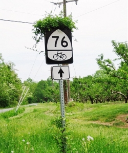 Retirement and cycling