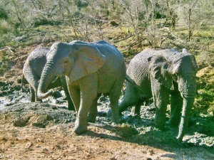 Retire in South Africa