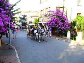 Retire in Turkey
