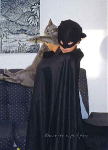Retirement and cats