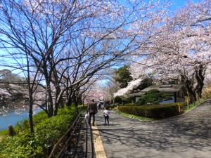Retire in Japan