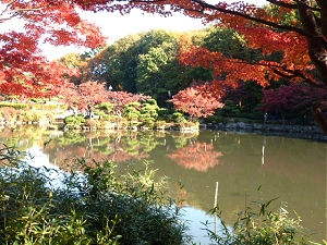 Retire in Japan