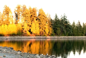 Retire in Vancouver