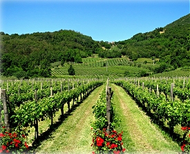 Retire in Italy
