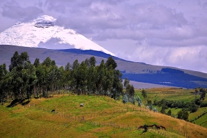 Retire in Ecuador