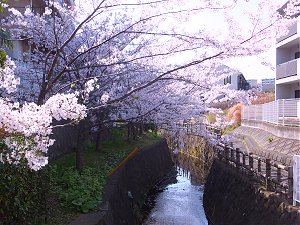 Retire in Japan