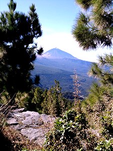 Retire in Tenerife, Canary Islands