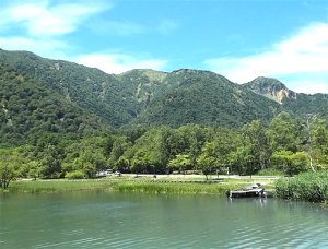 Retire in, travel to Japan