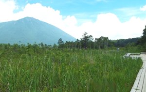 Retire in, travel to Japan