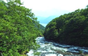 Retire in, travel to Japan