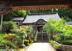 Vacation in Japan