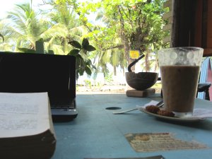 Volunteering in Costa Rica