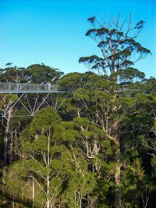 Retire in Australia