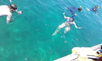 Retire in/vacation in Thailand