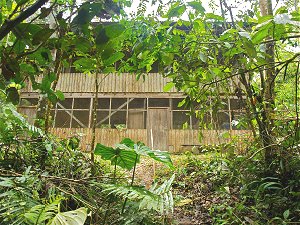 Retirement and volunteering in the Ecuadorean Amazon