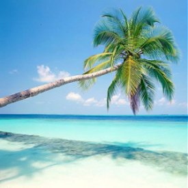 Retire in Fiji