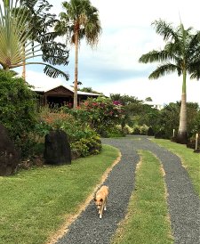 Retire in Guadeloupe