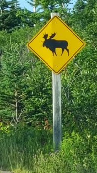 Travel to Canada during retirement