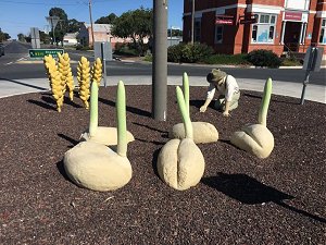 Retire in Australia