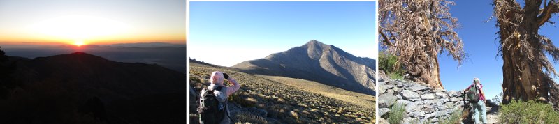 Retirement Adventures